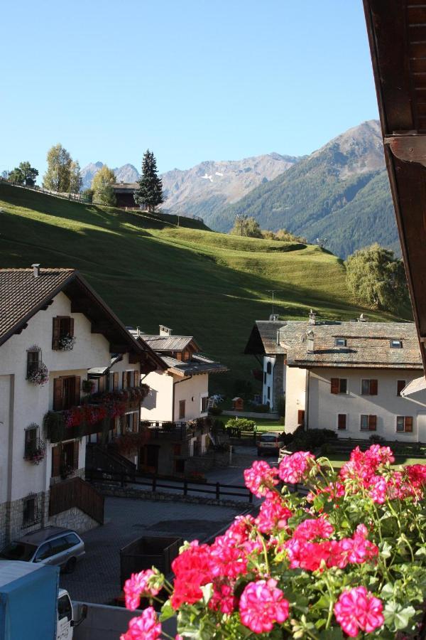 Chalet Stelvio Бормио Экстерьер фото