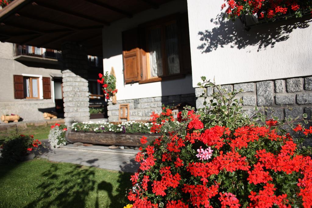 Chalet Stelvio Бормио Экстерьер фото