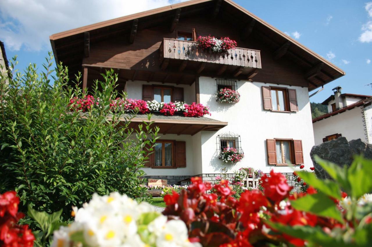 Chalet Stelvio Бормио Экстерьер фото